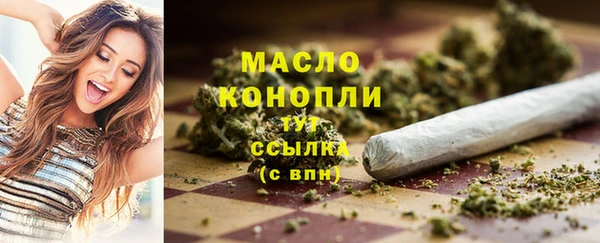 соль ск Медногорск