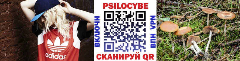 МЕГА tor  Таштагол  Псилоцибиновые грибы мицелий 
